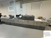 IMG 2909 IMG 2909