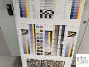 IMG 6345 IMG 6345